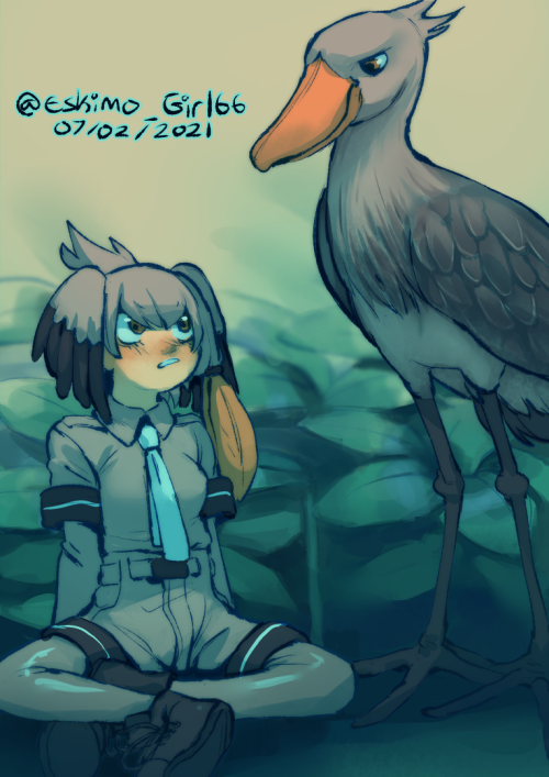 limeski66: Day 1135 Log 1237 Merch fundraiser reward of Shoebill from Kemono Friends for Just_Che&nb