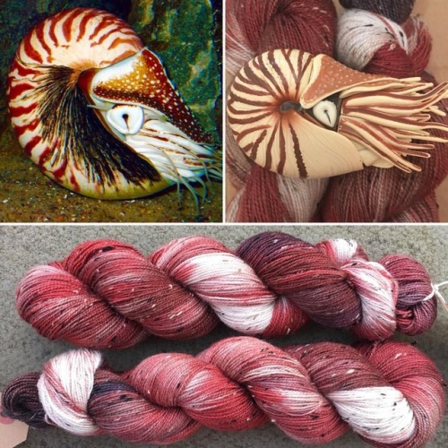 Revisiting the Nautilus with warm reddish browns, chestnut, and a smattering of black. An OOAK on Do