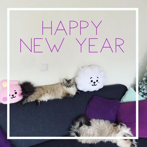 Happy new year everyone #catsofinstagram #happynewyear #happynewyear2020 #bt21 https://ift.tt/2sJJN