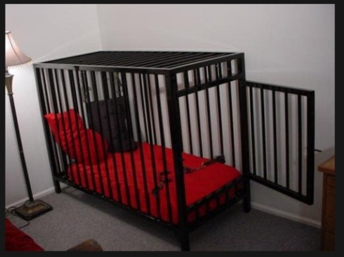 babydahl4him:  koneqo:  dandbssexytime:  itsteatimebby:  This is by far the best cage ever.  I&rsquo