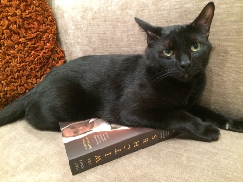 Stacy Schiff’s cat Moose wants to know why you haven’t gotten your copy of The Witches y