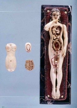 frenchtwist:  Anatomical Manikin with removable organs via Dream Anatomy, c. 1500-1700Also           