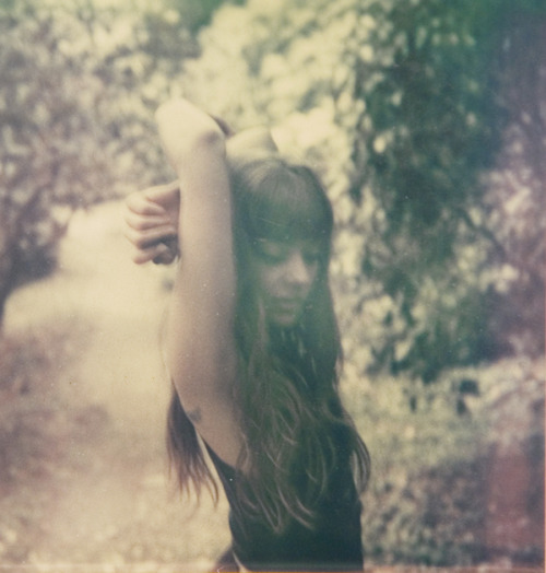 definitelydope:  sundowning (by bee hives) 