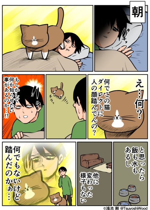 tkr:  ウッドブック - 理由