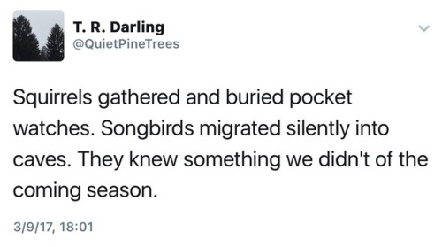 quietpinetrees:“Squirrels gathered and buried pocket watches. Songbirds migrated silently into