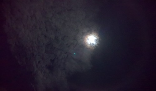 c0ry-c0nvoluted:  The moon looked so cool last night. Tomorrow (11/14/16) is supposed to be a Super Moon: the biggest it will be for 20 years or so. I couldn’t get the moons details with my phone, but how the clouds cute the ring around the moon in