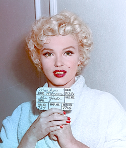 missingmarilyn:  Marilyn Monroe in a hair