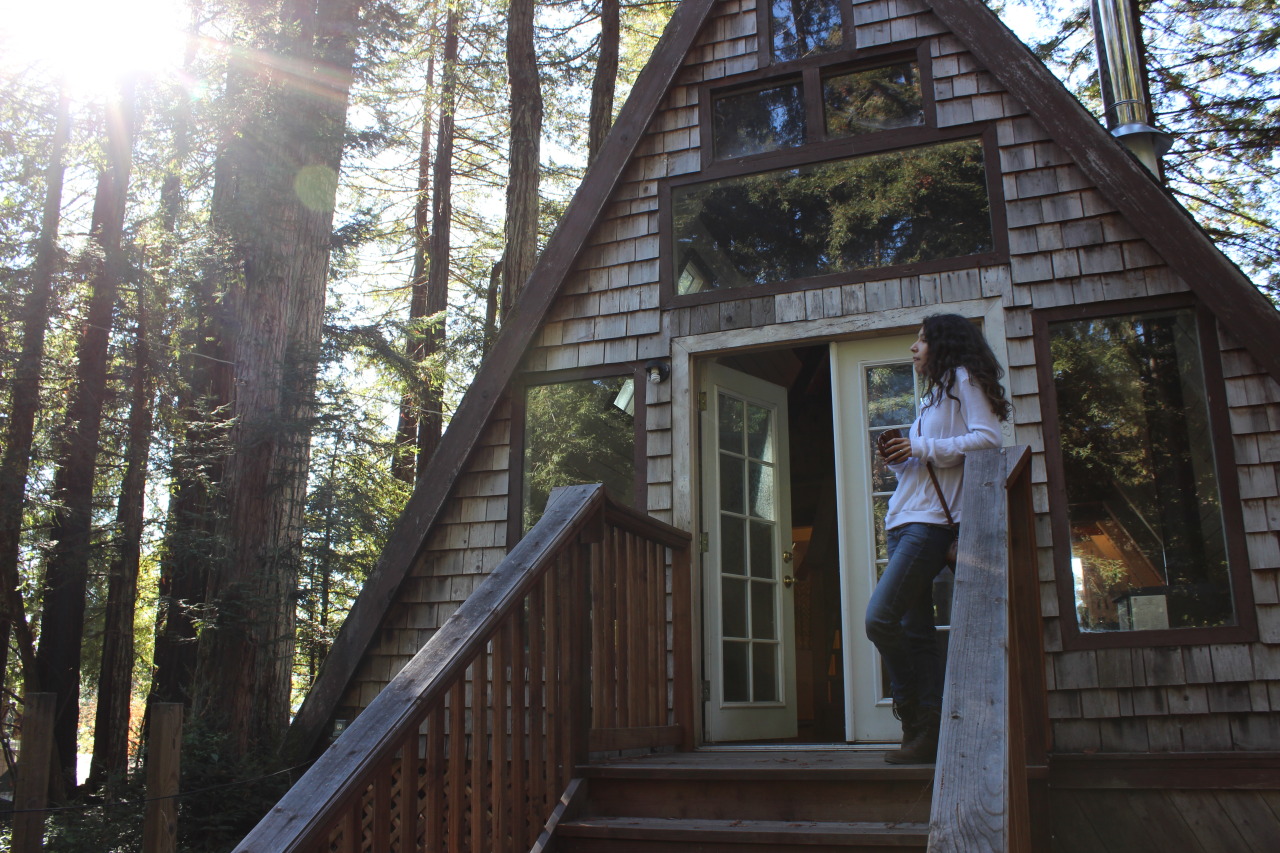 thunderandthrottle:  amyelizabethlove:  the cabin that made all my tumblr dreams