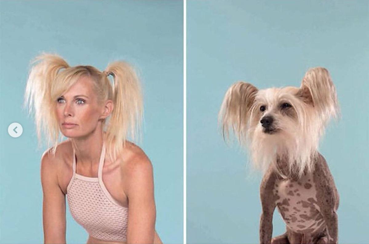 babyanimalgifs: Photographer puts dogs and their owners side by side, and the resemblance