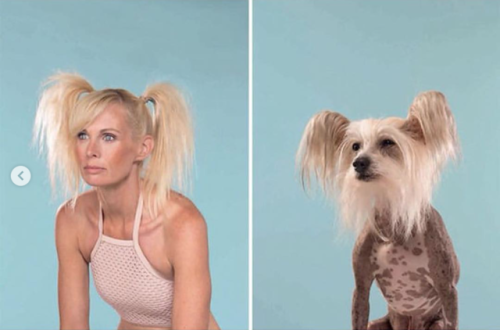proto-homo: babyanimalgifs: Photographer puts dogs and their owners side by side, and the resemblanc