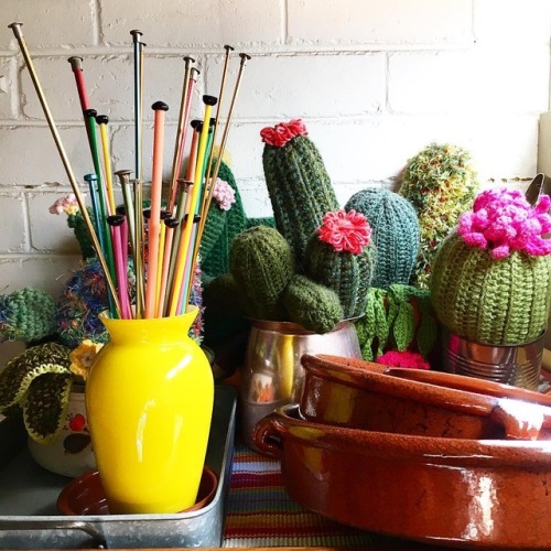 Knitting needles and crochet cactus  #noprickshere #wellmaybesome #vintageknitting #knitting #vintag