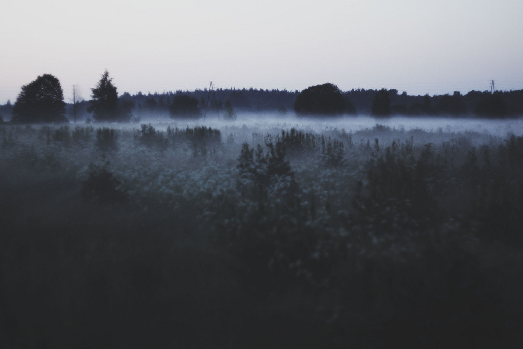 jacindaelena:  by Annija Muižule         