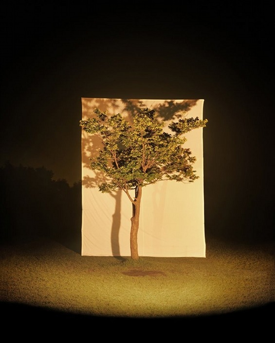 from89:  Trees In Front Of Canvas (by Myoung Ho Lee) Found Here 