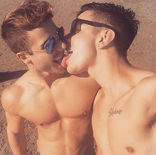 THE GAY GUYS