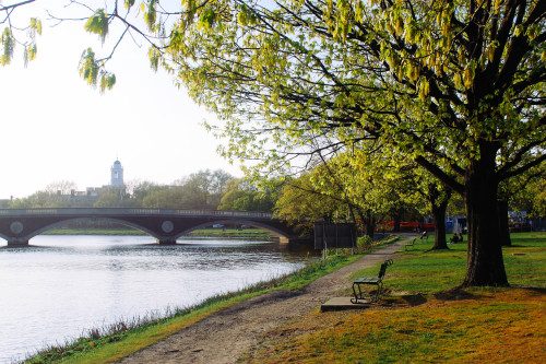 Cambridge x MA: As we said goodbye to fall, my friend and I sat by the Charles and had a picnic for 