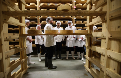 Sterling College: Fundamentals of Artisan Cheesemaking, May 15-24In addition to being a full time ch