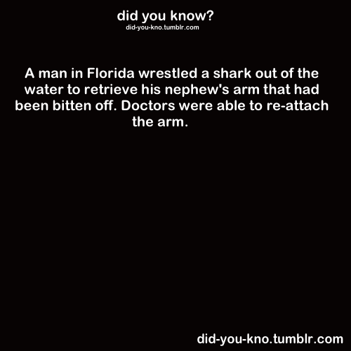 did-you-kno:  Source