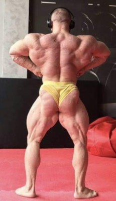 musclebull23:  