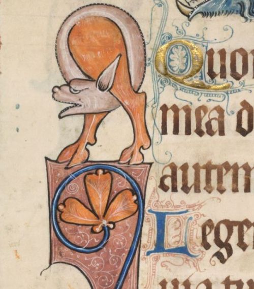 eadfrith:The Luttrell Psalter - folio 52vMarginal Monsters and two beautifully decorated letters.  M