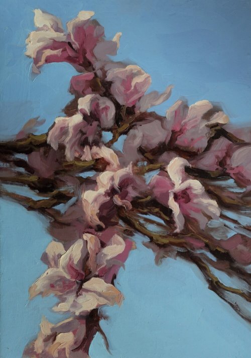 Marcel Wissing Boada (Spanish, based Barcelona, Spain) - Magnolia, Paintings: Oil