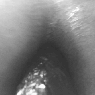 thesexy-bbw:  I had an interesting lunch break! I got so horny at work today that I decided a playtime lunch break was in order. I closed the door to my office and locked the door. The weather here today is a nice 67 degrees so I worn a long skirt and