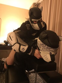 thepupscout:It’s a mounted Scout. *wags* Was locked for 8 days, edged, then locked again without cumming.