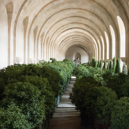 modedamour: Versailles Orangerie, France