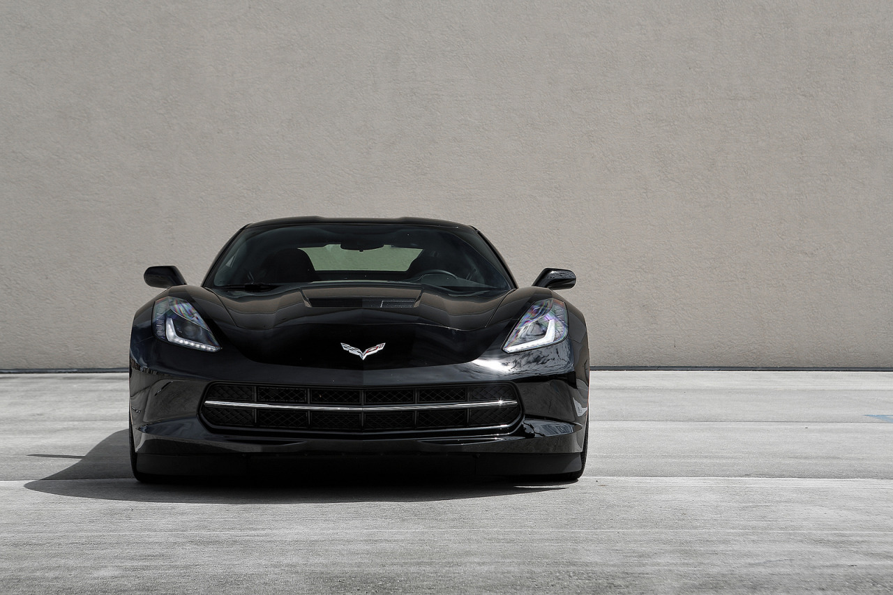 czar4curves-deactivated20131223:  2014 Corvette Stingray 