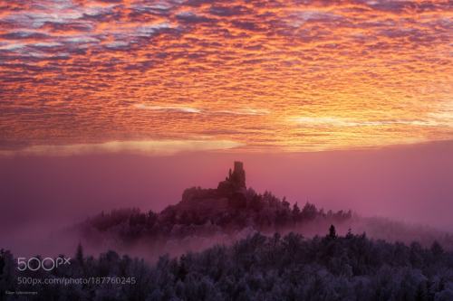 The Castle by kilianschoenberger@kilianschoenberger I N S T A G R A M landscape,sunrise,fog,sunset,w