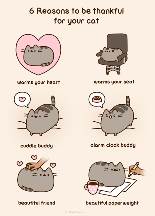tastefullyoffensive:by Pusheen