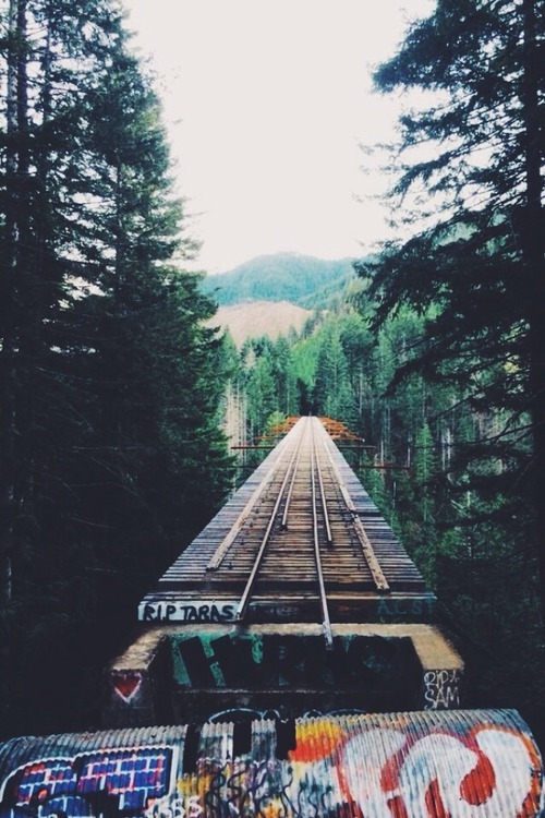 wolverxne:  Finally made it here | by: { Donna Irene }