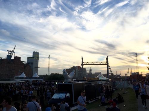 3 wonderful days at MSDockville, 3 wonderful days in wonderland!