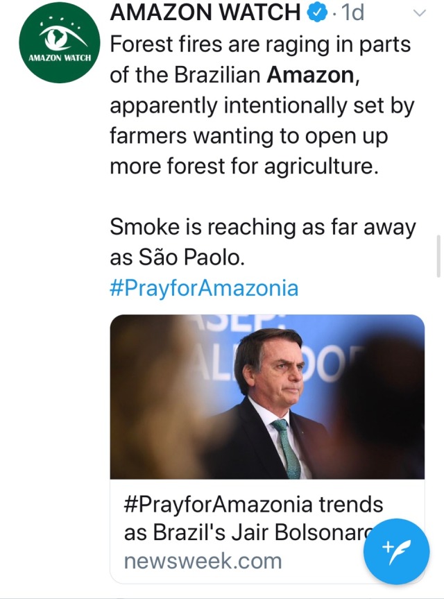 nipuni: elphabaforpresidentofgallifrey:  Take it from climate reporters, indigenous women, and environmental watch groups: the Amazon fire is not just another climate change disaster, it’s the Brazilian president actively fucking the entire world. 