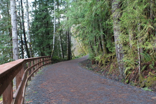 Here’s a few of the shots I took Monday while hiking for my photography class.