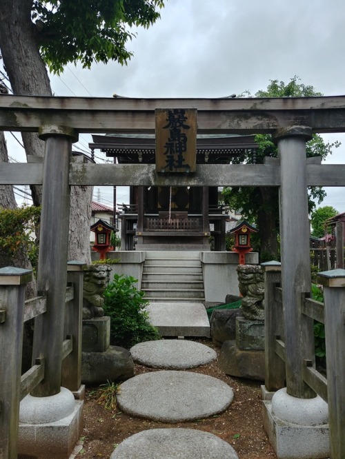Went site seeing in Makuhari yesterday