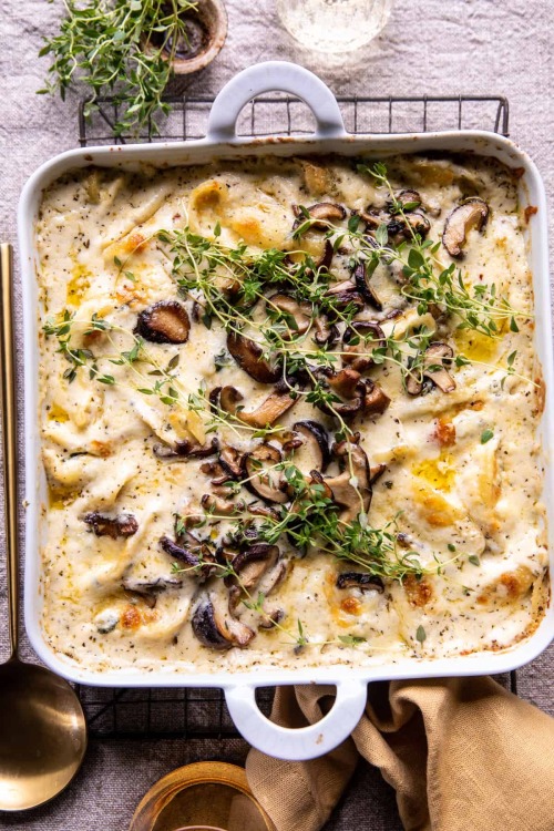 daily-deliciousness: Creamy white wine mushroom stuffed shells