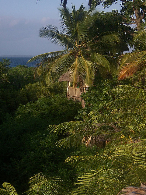 themotogatocom:Tree house peeps out among the trees, Chole Island / Tanzania