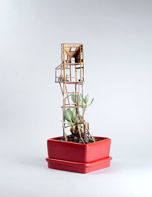 88floors:Miniature Treehouse Sculptures Built Around Houseplants by Jedediah Voltz