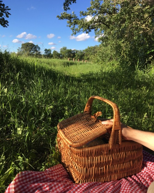 stayspectacular:picnic season is in full gear