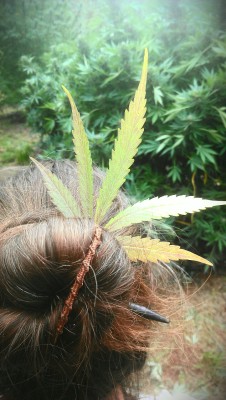 earthen-empress:  My momma’s harvest hair-do ;)