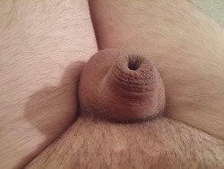 thesmallestcock:It really does need a smaller cage