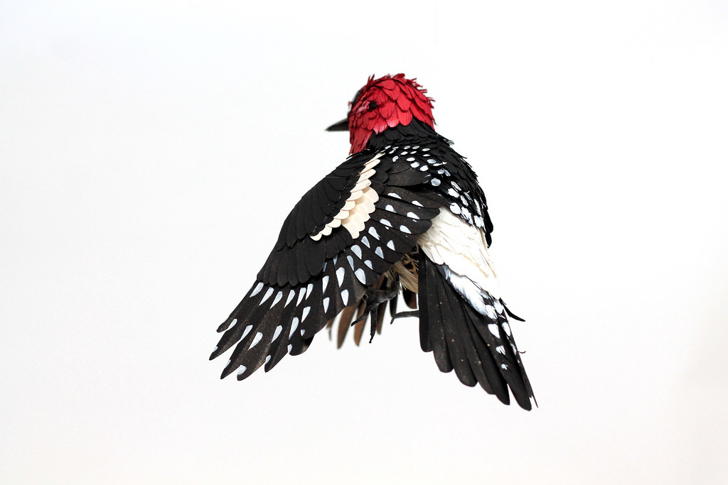 paintvrlife:  Diana Beltran Herrera is a Colombian designer and illustrator who is