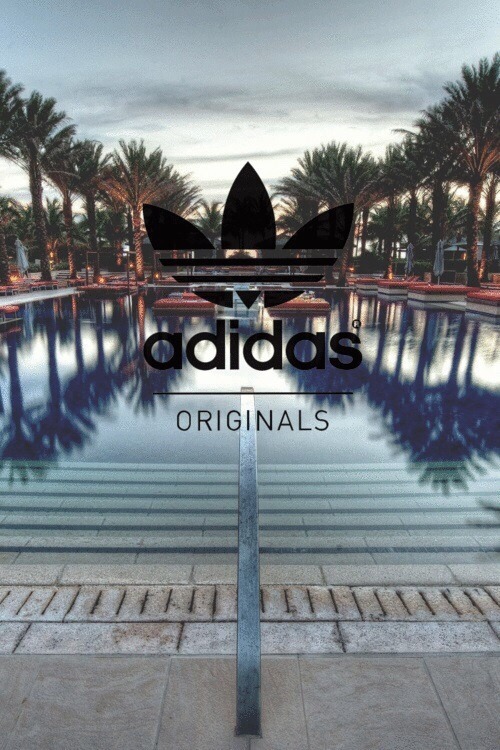 Adidas Wallpaper Explore Tumblr Posts And Blogs Tumgir