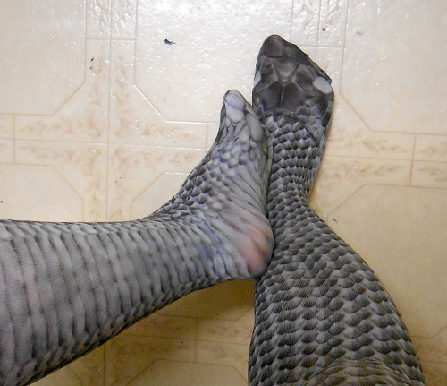 iguanamouth:  couple of you of you might remember how a while back i was absolutely obssessed with THESE TIGHTS, and how i couldnt seem to get em because they were only sold in japan BUT then someone directed me to vectorsellsstuff, a person living in