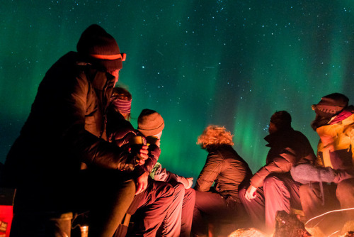 Cold, clear night in the Arctic with your friends around the fire