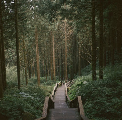 danielodowd:  靈氣 by Huen * on Flickr.