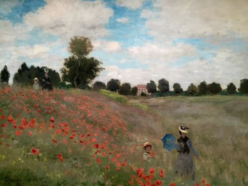 Wild Poppies, near Argenteuil 1873 by Claude Monet