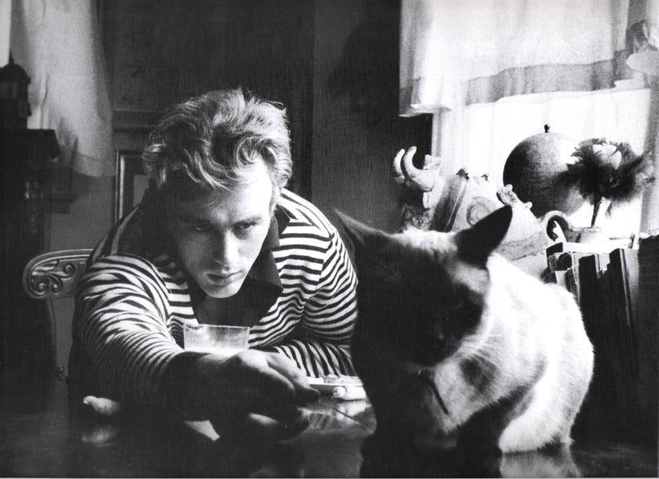 pretonobranco77:    James Dean by Sanford Roth, 1950s   