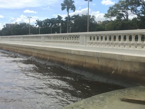 South Tampa is well and truly shut down. With all my supplies gathered in, I drove down to the wate