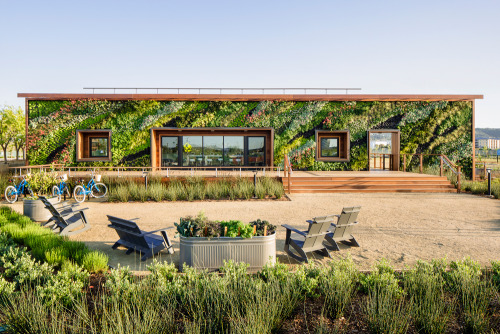 wglandscape:  Bay Meadows Welcome Center. Living wall by Habitat Horticulture. source 
